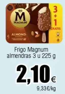 FROIZ Frigo Magnum almendras 3 u oferta
