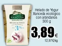 FROIZ Helado de Yogur Xanceda ecológico con arándanos oferta