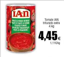 FROIZ Tomate IAN triturado extra oferta
