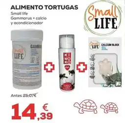 Alimerka Fernandez guridi - combinado de setas oferta