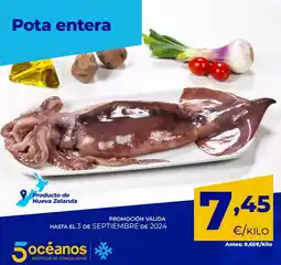 5 Océanos Promocion valida oferta