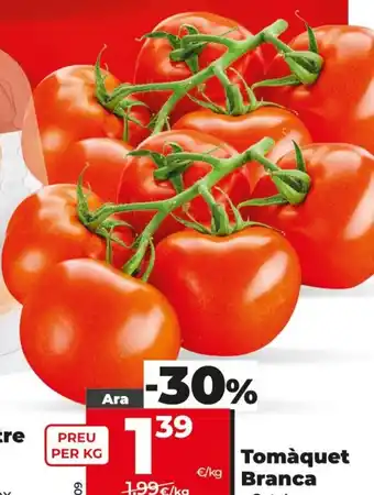 Dia Tomàquet Branca oferta