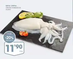 TOP Cash & Carry Flor de caña - ron etiqueta negra oferta