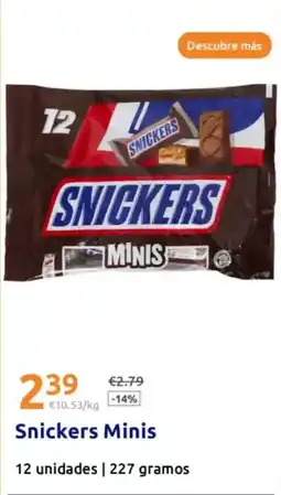 Tú Brico-Marian Philips - flexo tilpa oferta