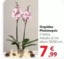 ALDI Gutbio - chocolate negro ecologico oferta