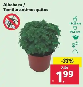 Dia Dia nuestra alacena - jamón serrano en medias lonchas oferta