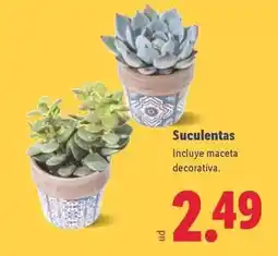 Dia Heineken - cerveza original / 0.0 oferta