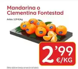 Alimerka Kaiku - yogur desnatado natural sin lactosa oferta