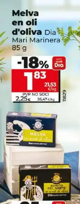 Dia Melva en oli d'oliva oferta