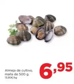 ALDI Novitesse - topper cubre colchón oferta