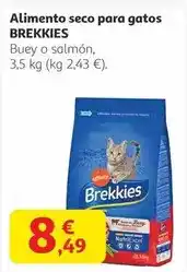 Gadis Nocilla - crema cacao oferta