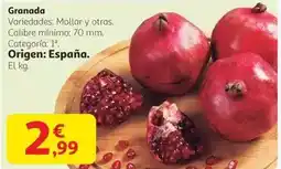 Gadis Ifa sabe - ambientador varitas difusoras oferta