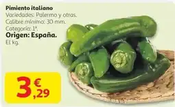 Gadis Tenn - limpiador oferta