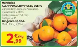 Gadis Ariel - detergente en polvo original oferta