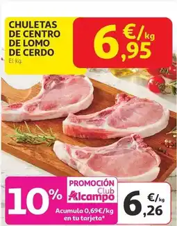 Gadis Disiclin - detergente líquido azul oferta