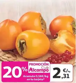 Gadis Dodot - pañal activity extra oferta