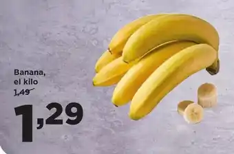FROIZ Kaiku - sin lactosa griego stracciatella oferta