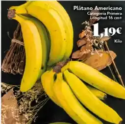 ALDI Adventuridge - zapatillas de trekking oferta