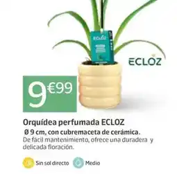 TOP Cash & Carry Arehucas - ron carta oro oferta
