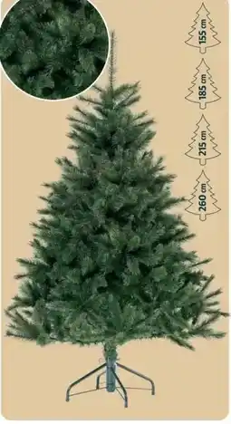 Gadis Congrio al corte oferta