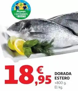 Alimerka Huesitos - super choc oferta