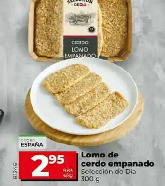 Maxi Dia Lomo de cerdo empanado dia oferta