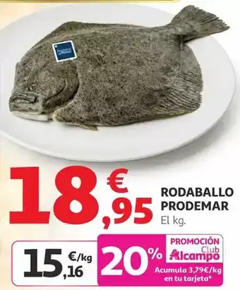 CashDiplo Olca - corned beef oferta