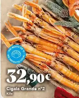 Gadis Palacio de oriente - zamburinas salsa marinera oferta