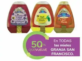 Carrefour En todas las mieles granja san francisco oferta