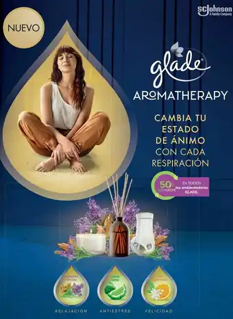 Carrefour En todos los ambientadores glade oferta