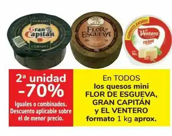 Carrefour En todos los quesos mini flor de esgueva, gran capitán y el ventero oferta