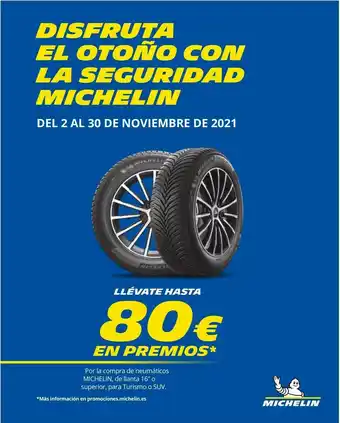 Neumáticos michelin
