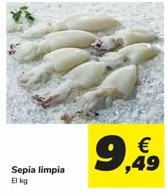 Sepia limpia