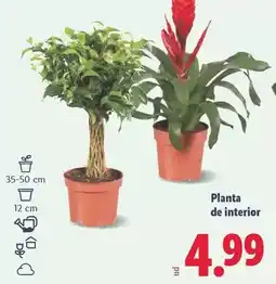 HiperDino El tofio - yogur de cabra natural o kefir de cabra oferta