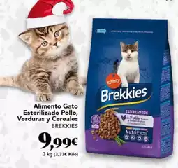 FROIZ Serpis - aceitunas oferta