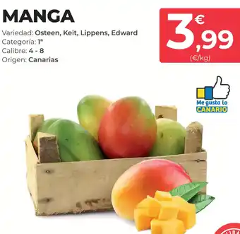 SPAR Gran Canaria Manga oferta