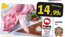 TiendAnimal True origins - humedo para perro oferta