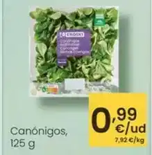 BricoCentro Alfombra living dec oferta