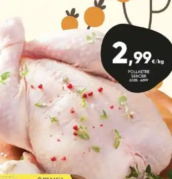 Family Cash Pollastre sencer oferta