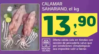 HiperDino Calamar sahariano oferta