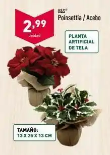 ALDI Plantas artificiales oferta