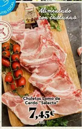 Gadis Lomo de cerdo oferta