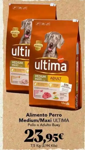 Gadis Pollo última oferta