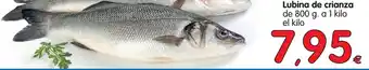 Alimerka Lubina de crizanza de 800g oferta