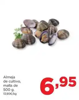 Claudio De antaño - vino tinto d.o.ca. rioja crianza oferta