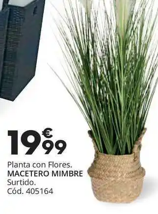 Conforama Plante Con Flores Macetero Mimbre oferta
