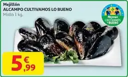ALDI Flete - patatas corte fino oferta