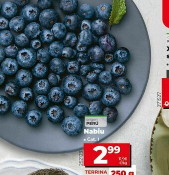 Dia Arándanos oferta