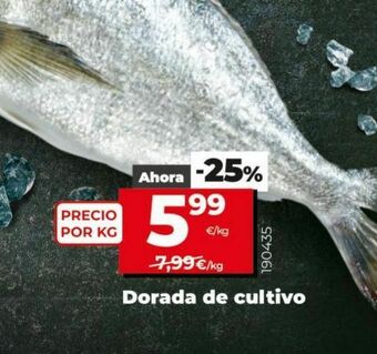 Dia Dorada de cultivo oferta