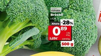 Dia Brócoli oferta